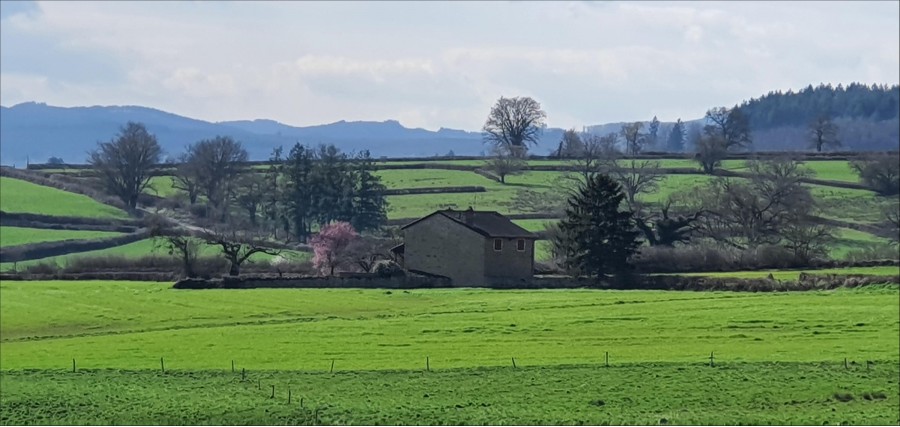 Maison à 20 minutes de Mâcon et 10 minutes de Cluny